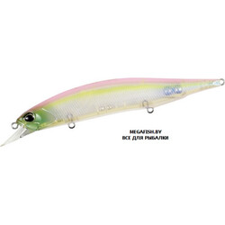 Vobler-DUO-Realis-Jerkbait-100SP-CCC3350