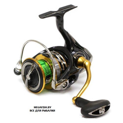 Daiwa-Exceler-17-LT-4000-C