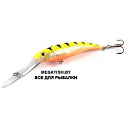 Osko-Neon-DR-49