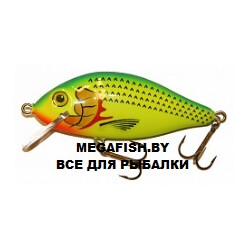 Osko-Evil-FL-70