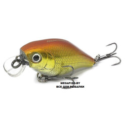 Renegade-Dissembler-40F-J66