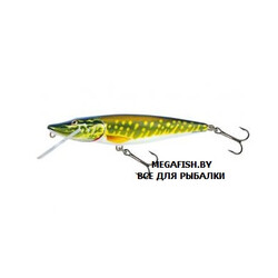 Salmo-Pike-F9-PE