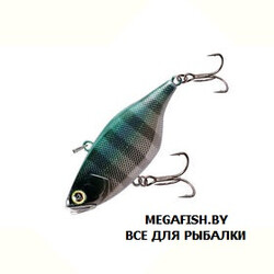 Jackall-TN80-sk-silhouette-gill