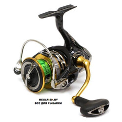 Daiwa-Exceler-17-LT-3000-C-XH