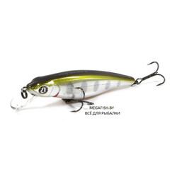 Pontoon21-Greedy-Guts-111F-SR