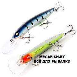 Akara-Deep-Winner-a26