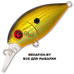Gad-FranCrank-40F-SR-001
