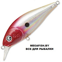 Vobler-GAD-Gosh-60F-SR-002