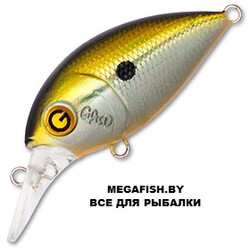 Gad-FranCrank-35F-SR-006