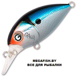 Gad-FranCrank-35F-SR-007