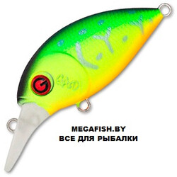 Gad-FranCrank-40F-SR-010