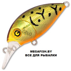 Gad-FranCrank-35F-SR-011