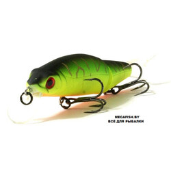 Tsuribito-Pike-Strike-88SP-028