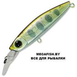 Pontoon21-GagaGoon-55SS-MR-304