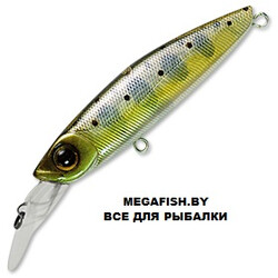 Pontoon21-GagaGoon-55SS-MR-351