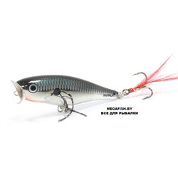 Vobler-Rapala-Skitter-Pop-07-CH