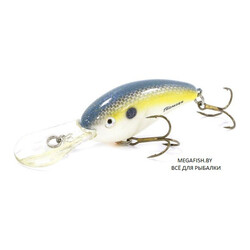 Bomber-Fat-Free-Shad-DTS-FS