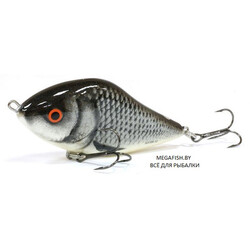 Salmo-Slider-F07-TT