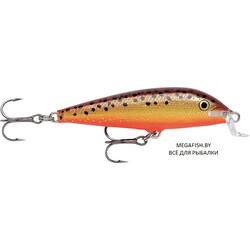Rapala-Team-Esko-BRF
