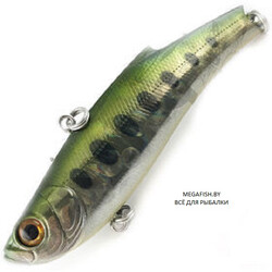 Bassday-Orc-Range-Vib-80ES-RD-158