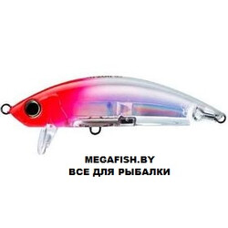 Yo-Zuri-3D-Inshore-Surface-Minnow-C5