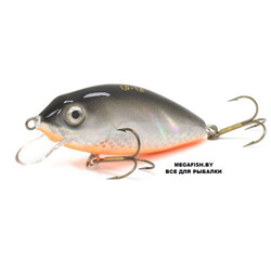 Chimera-Silver-Fox-Karas-Fat-70FL-005