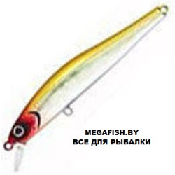 Zipbaits-Rigge-90SP-SR-107M