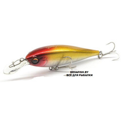 EverGreen-Bank-Shad-125