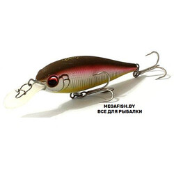 EverGreen-Bank-Shad-217
