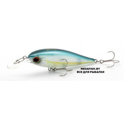 EverGreen-Bank-Shad-239