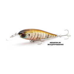 EverGreen-Bank-Shad-246