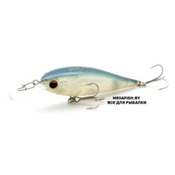 EverGreen-Bank-Shad-247