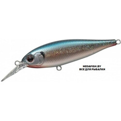 EverGreen-Bank-Shad-257