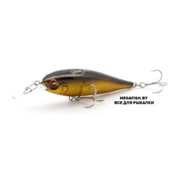 EverGreen-Bank-Shad-259