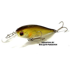 EverGreen-Bank-Shad-27