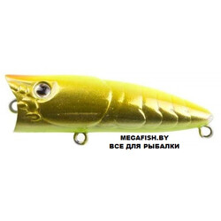 Zipbaits-ZBL-Popper-Tiny-713R