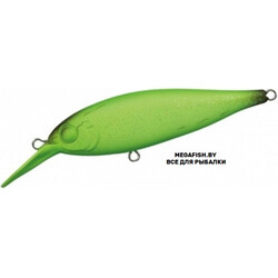 EverGreen-Bank-Shad-876