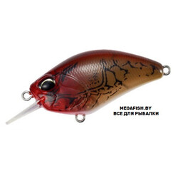 DUO-Realis-Crank-55SR-Kabuki-CCC3307