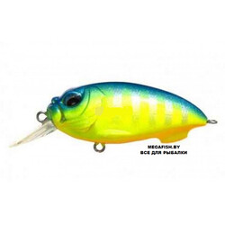 Megabass-SR-X-Cyclone-glx-chart-bream