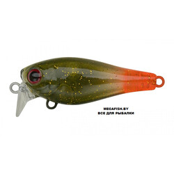 Strike-Pro-Medium-Trank-36F-Z411-3-UV
