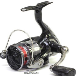 Daiwa-RX-20-LT-4000-C