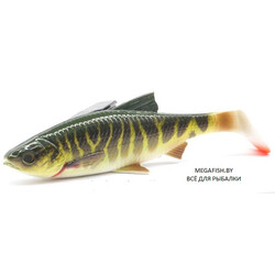 Savage-Gear-LB-4D-River-Roach-Pike