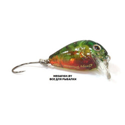 Crazy-Plankton-A102G