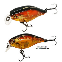 Akara-Babbler-40F-A198