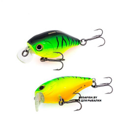 Akara-Babbler-40F-A68