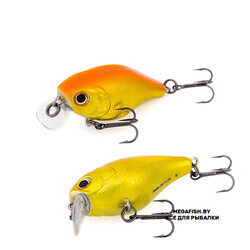 Akara-Babbler-40F-A86
