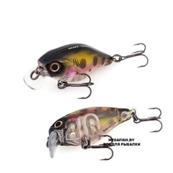 Akara-Babbler-40F-A88