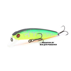 Pontoon21-Dexter-Minnow-070