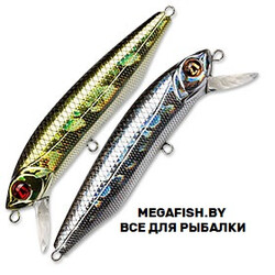 Pontoon21-Dexter-Minnow-93S-SR-222