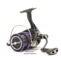 Daiwa-Prorex-X-LT-3000-C
